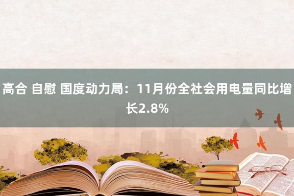 高合 自慰 国度动力局：11月份全社会用电量同比增长2.8%