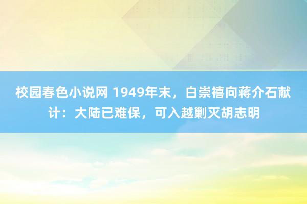 校园春色小说网 1949年末，白崇禧向蒋介石献计：大陆已难保，可入越剿灭胡志明