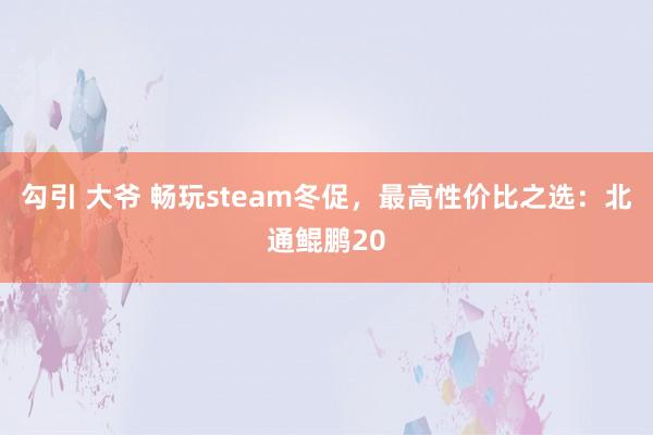 勾引 大爷 畅玩steam冬促，最高性价比之选：北通鲲鹏20