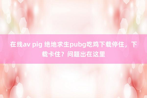 在线av pig 绝地求生pubg吃鸡下载停住，下载卡住？问题出在这里