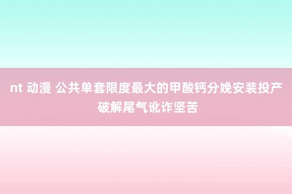 nt 动漫 公共单套限度最大的甲酸钙分娩安装投产 破解尾气讹诈坚苦