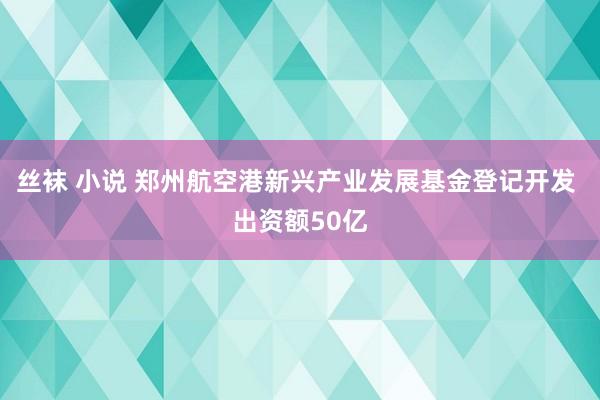 丝袜 小说 郑州航空港新兴产业发展基金登记开发 出资额50亿