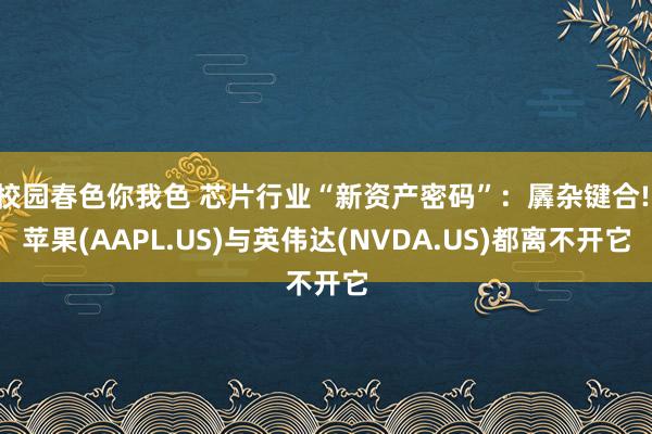 校园春色你我色 芯片行业“新资产密码”：羼杂键合! 苹果(AAPL.US)与英伟达(NVDA.US)都离不开它