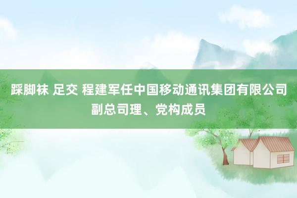 踩脚袜 足交 程建军任中国移动通讯集团有限公司副总司理、党构成员