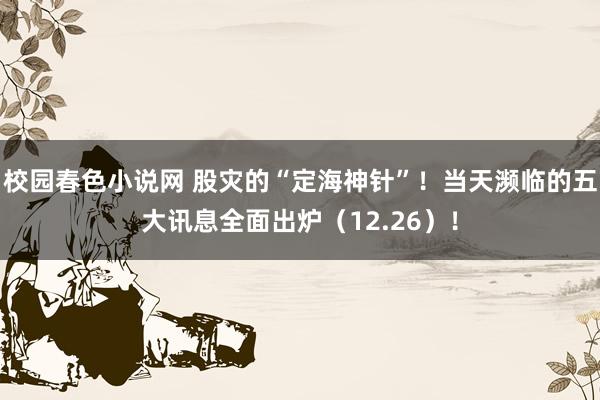 校园春色小说网 股灾的“定海神针”！当天濒临的五大讯息全面出炉（12.26）！