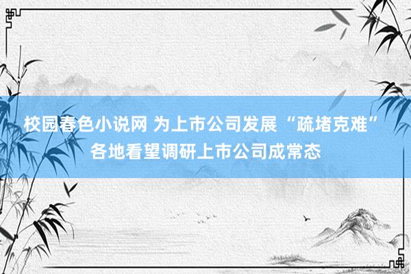 校园春色小说网 为上市公司发展 “疏堵克难” 各地看望调研上市公司成常态