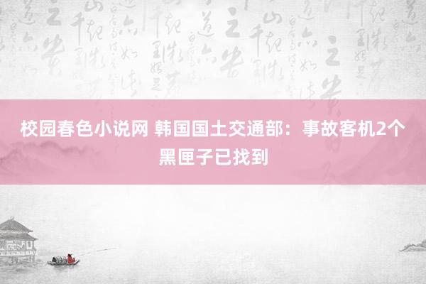 校园春色小说网 韩国国土交通部：事故客机2个黑匣子已找到