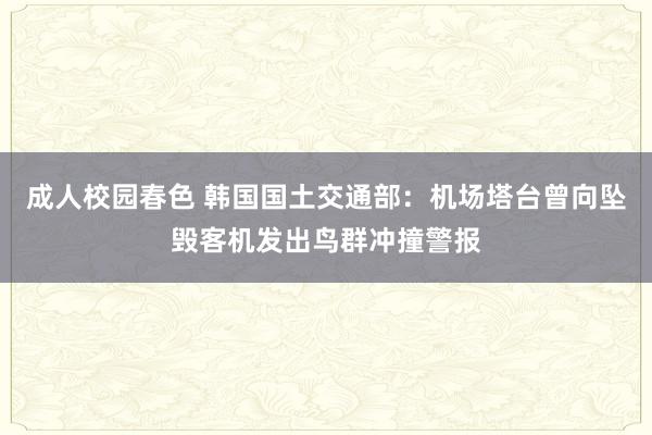 成人校园春色 韩国国土交通部：机场塔台曾向坠毁客机发出鸟群冲撞警报