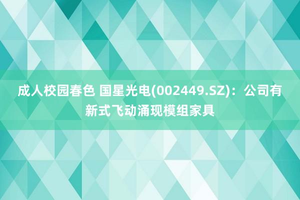 成人校园春色 国星光电(002449.SZ)：公司有新式飞动涌现模组家具