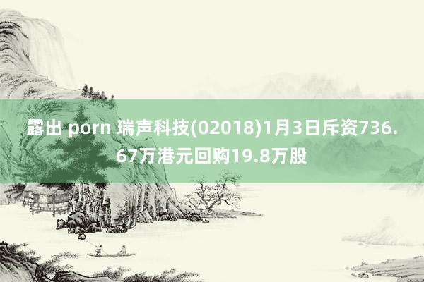 露出 porn 瑞声科技(02018)1月3日斥资736.67万港元回购19.8万股