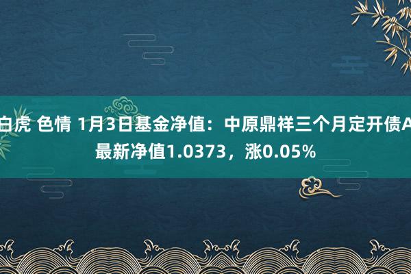 白虎 色情 1月3日基金净值：中原鼎祥三个月定开债A最新净值1.0373，涨0.05%