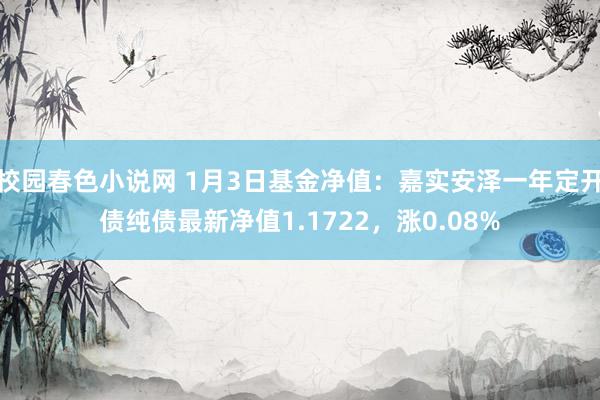 校园春色小说网 1月3日基金净值：嘉实安泽一年定开债纯债最新净值1.1722，涨0.08%