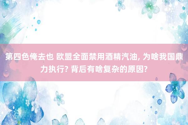 第四色俺去也 欧盟全面禁用酒精汽油， 为啥我国鼎力执行? 背后有啥复杂的原因?