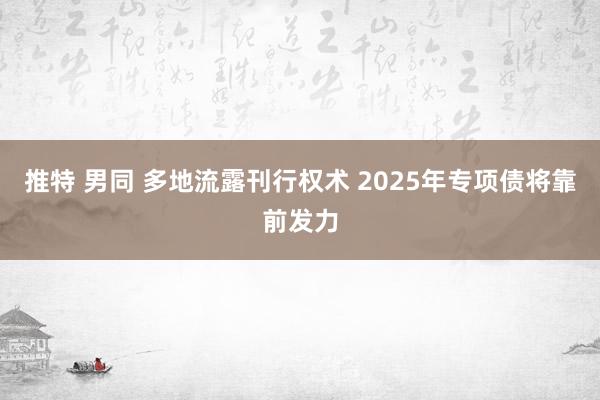 推特 男同 多地流露刊行权术 2025年专项债将靠前发力