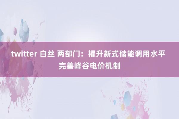 twitter 白丝 两部门：擢升新式储能调用水平 完善峰谷电价机制