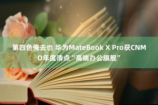 第四色俺去也 华为MateBook X Pro获CNMO年度清点“高端办公旗舰”