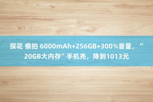 探花 偷拍 6000mAh+256GB+300%音量，“20GB大内存”手机壳，降到1013元