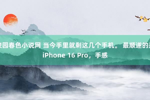 校园春色小说网 当今手里就剩这几个手机。 最顺遂的是iPhone 16 Pro，手感