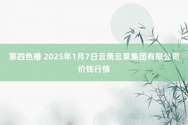 第四色播 2025年1月7日云南云菜集团有限公司价钱行情