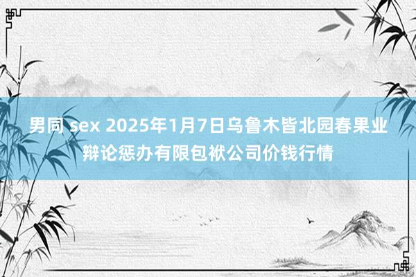 男同 sex 2025年1月7日乌鲁木皆北园春果业辩论惩办有限包袱公司价钱行情