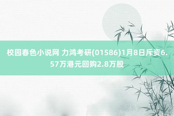 校园春色小说网 力鸿考研(01586)1月8日斥资6.57万港元回购2.8万股