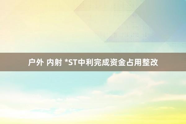 户外 内射 *ST中利完成资金占用整改