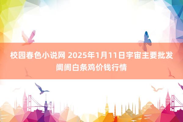 校园春色小说网 2025年1月11日宇宙主要批发阛阓白条鸡价钱行情