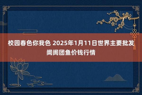 校园春色你我色 2025年1月11日世界主要批发阛阓团鱼价钱行情