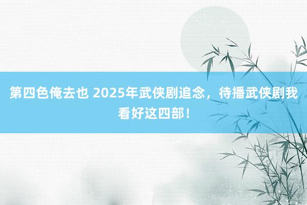 第四色俺去也 2025年武侠剧追念，待播武侠剧我看好这四部！