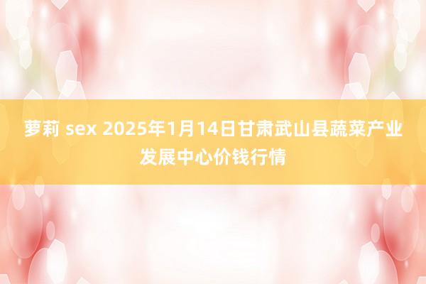 萝莉 sex 2025年1月14日甘肃武山县蔬菜产业发展中心价钱行情