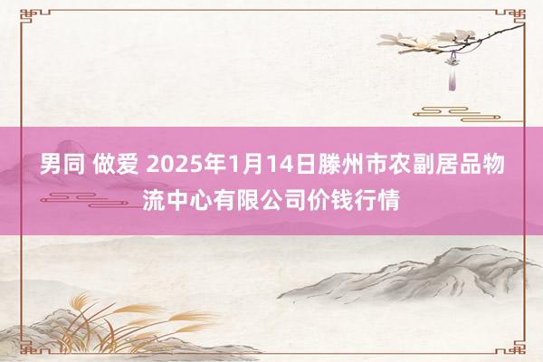 男同 做爱 2025年1月14日滕州市农副居品物流中心有限公司价钱行情