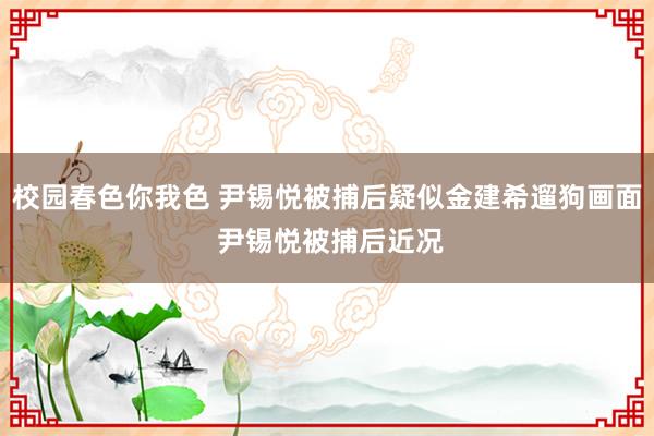 校园春色你我色 尹锡悦被捕后疑似金建希遛狗画面 尹锡悦被捕后近况