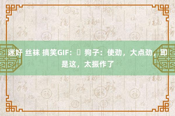 迷奸 丝袜 搞笑GIF：​狗子：使劲，大点劲，即是这，太振作了